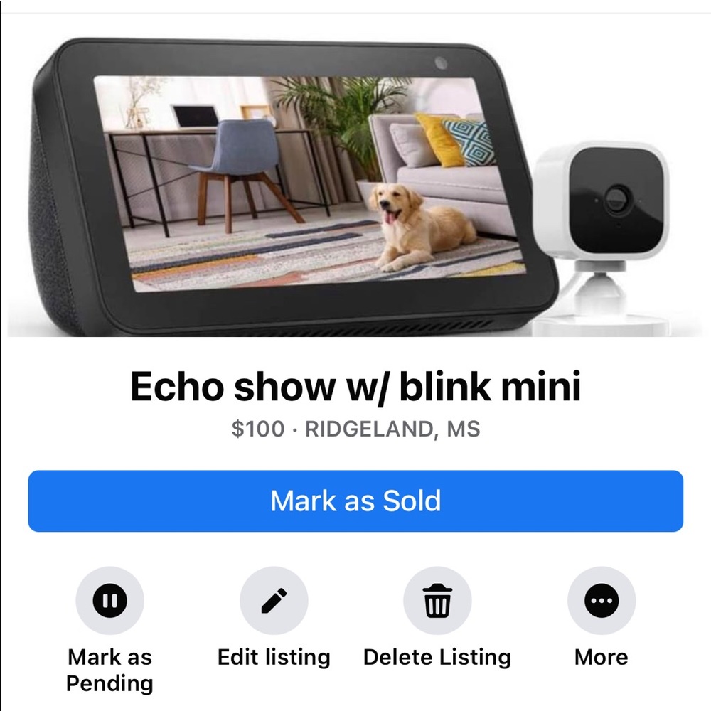 Echo show with blink mini